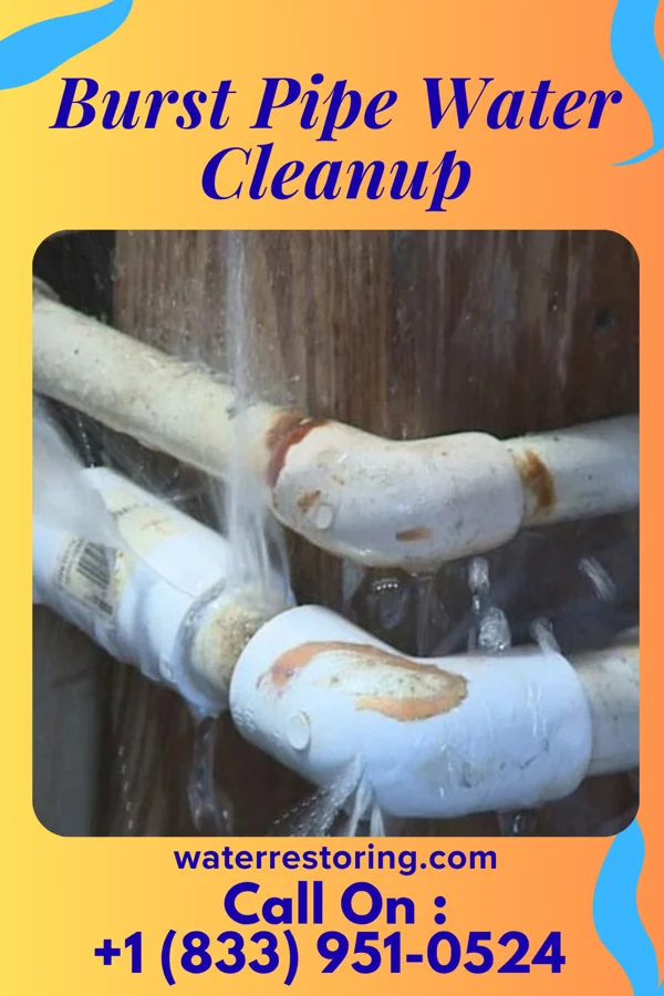 Burst Pipe Water Cleanup in Burlington, ND
