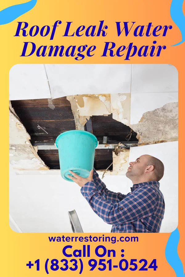 Roof Leak Water Damage Repair in Burlington, ND